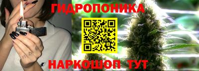прущие грибы Гусь-Хрустальный