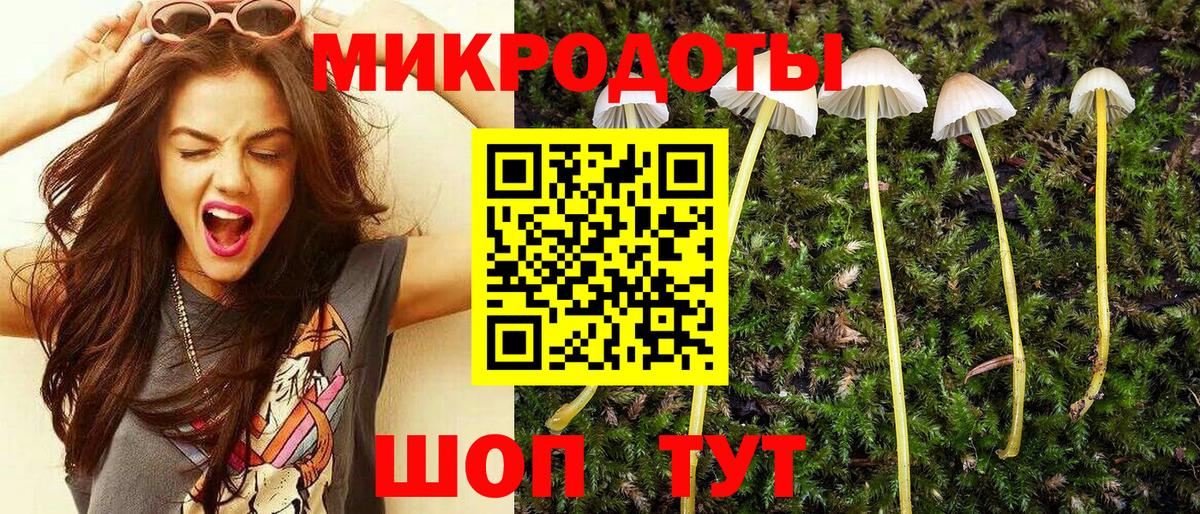 Соль-Илецк  Псилоцибиновые грибы Psilocybine cubensis  хочу наркоту  Вход с VPN  Псилоцибиновые грибы мицелий 
