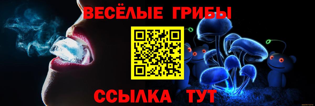 Галлюциногенные грибы мицелий Соль-Илецк